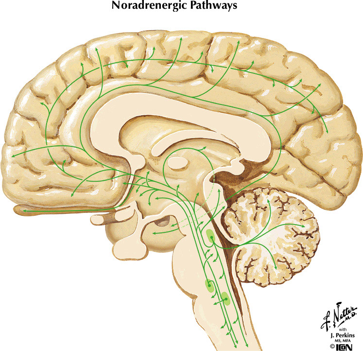 %_tempFileNameFigureII.96%