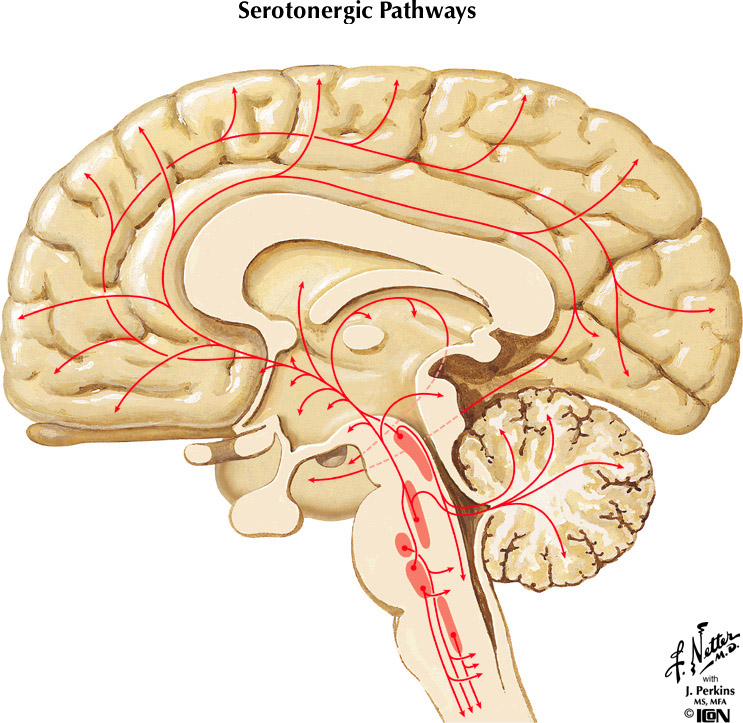 %_tempFileNameFigureII.97%