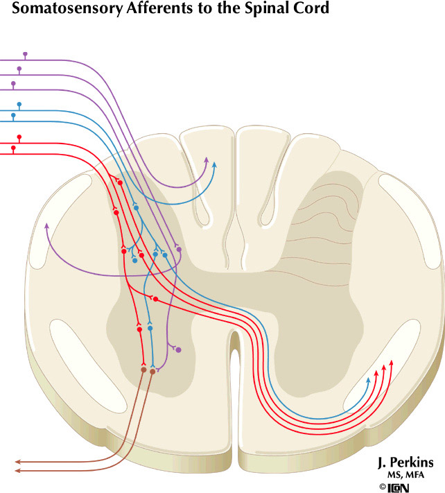 %_tempFileNameFigureIII.1%