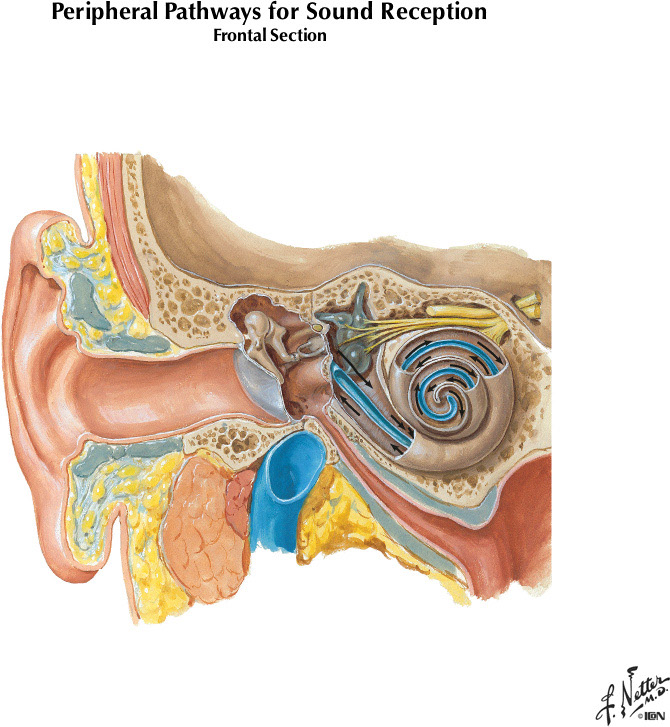 %_tempFileNameFigureIII.11%