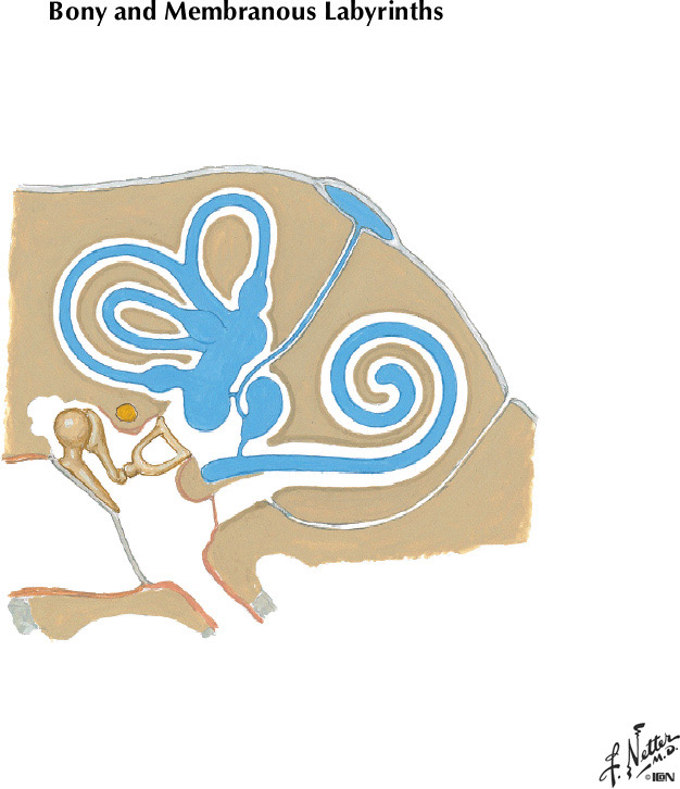 %_tempFileNameFigureIII.12%