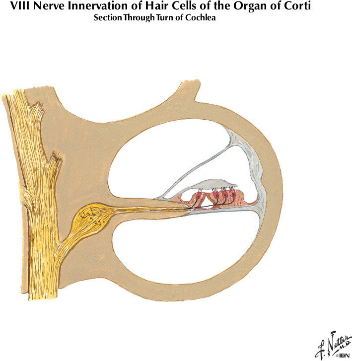 %_tempFileNameFigureIII.13%