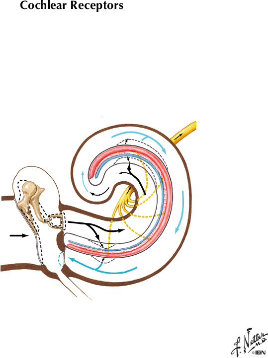 %_tempFileNameFigureIII.14%