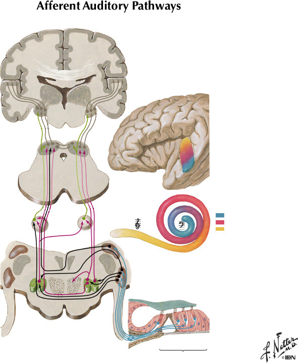 %_tempFileNameFigureIII.15%