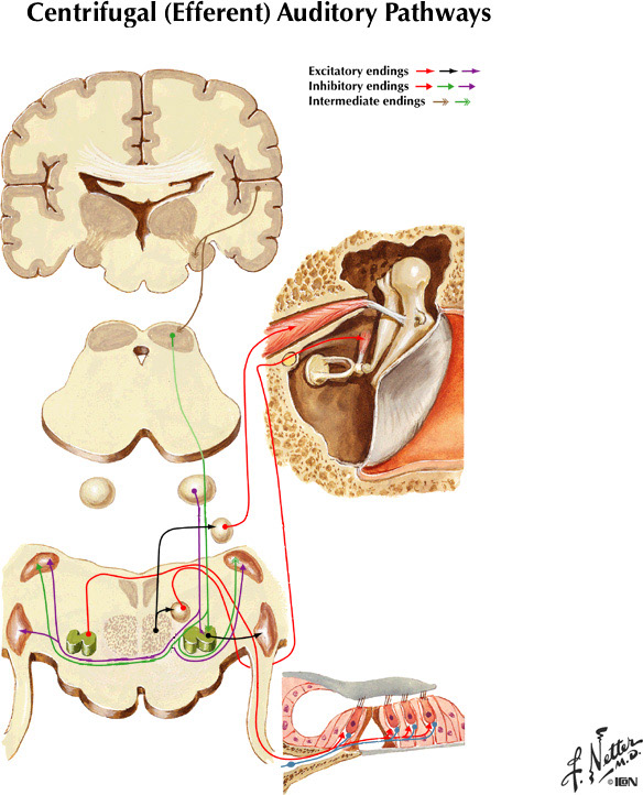 %_tempFileNameFigureIII.16%