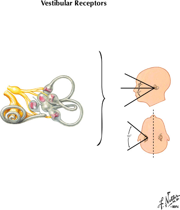 %_tempFileNameFigureIII.17A%