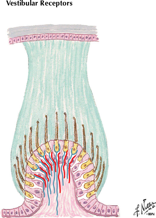 %_tempFileNameFigureIII.17B%