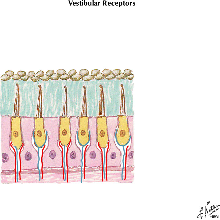 %_tempFileNameFigureIII.17C%