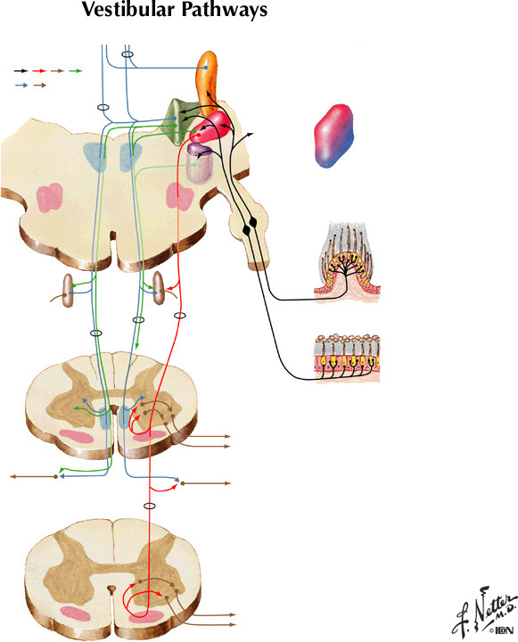 %_tempFileNameFigureIII.18%