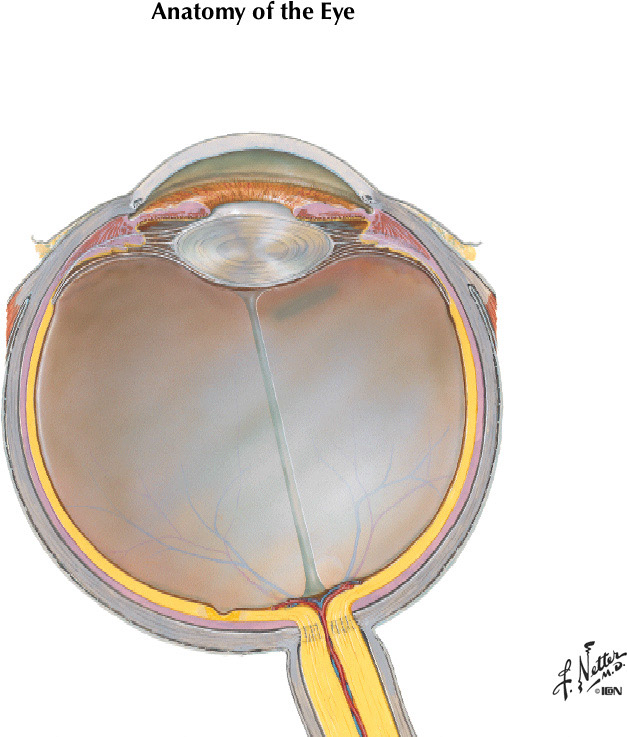 %_tempFileNameFigureIII.20%