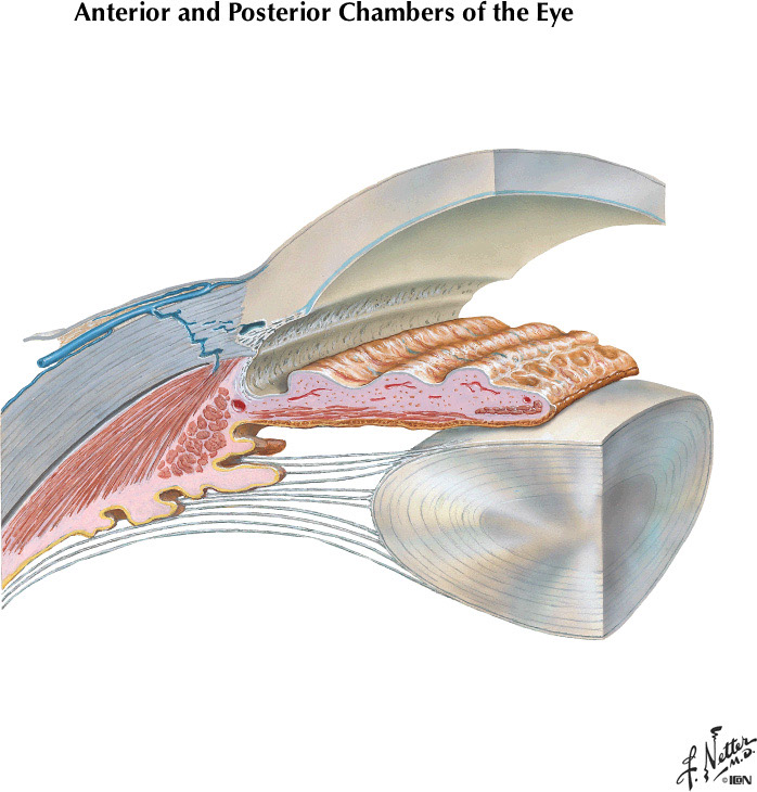 %_tempFileNameFigureIII.21%