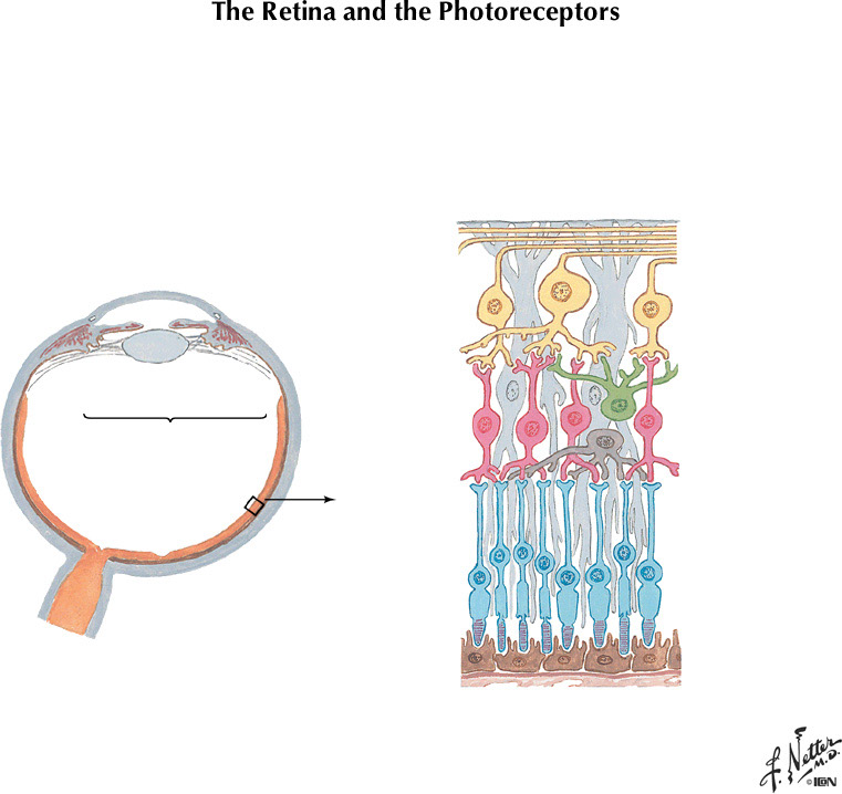 %_tempFileNameFigureIII.22A%