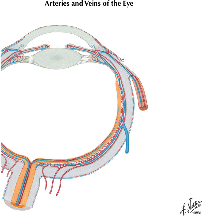 %_tempFileNameFigureIII.23A%