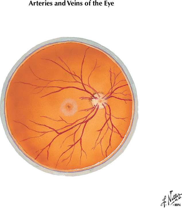 %_tempFileNameFigureIII.23B%