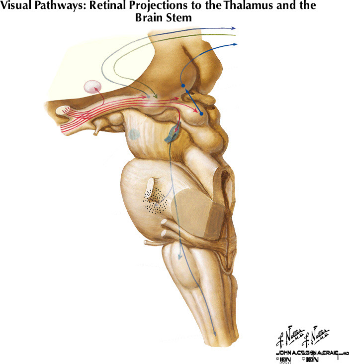 %_tempFileNameFigureIII.24%