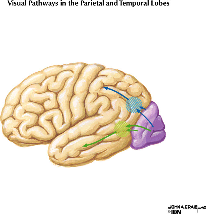 %_tempFileNameFigureIII.26%