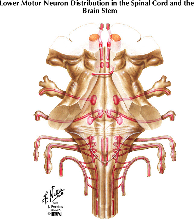 %_tempFileNameFigureIII.27%