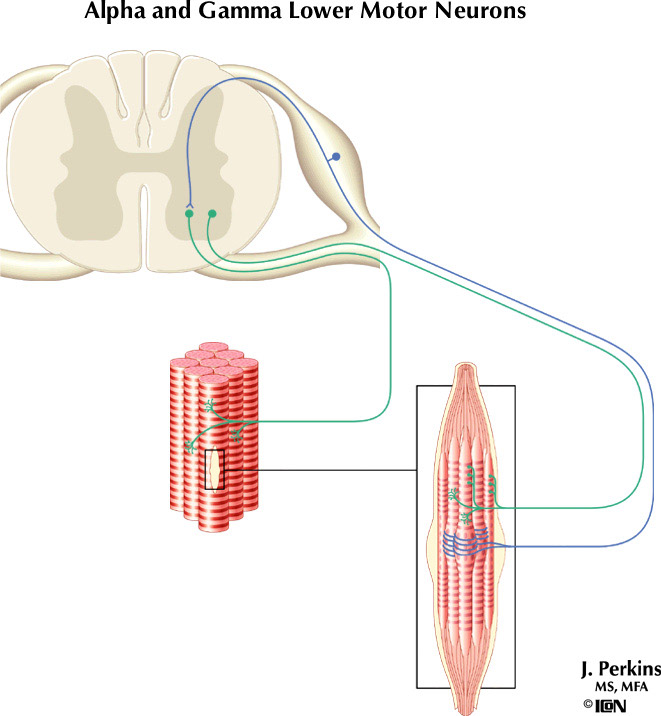 %_tempFileNameFigureIII.28%