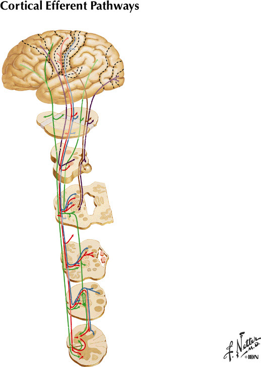 %_tempFileNameFigureIII.29%