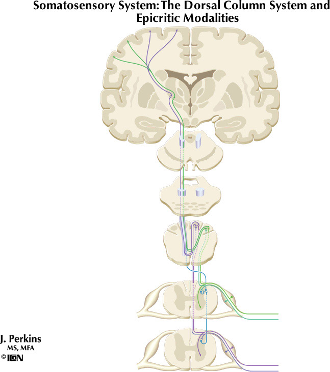 %_tempFileNameFigureIII.3%