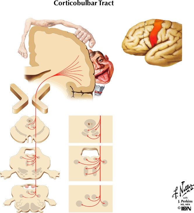 %_tempFileNameFigureIII.30%