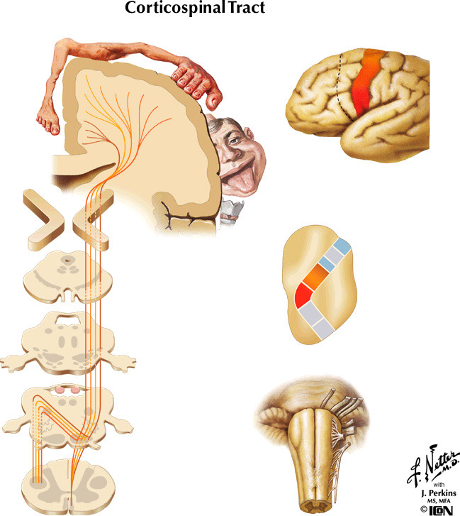 %_tempFileNameFigureIII.31%