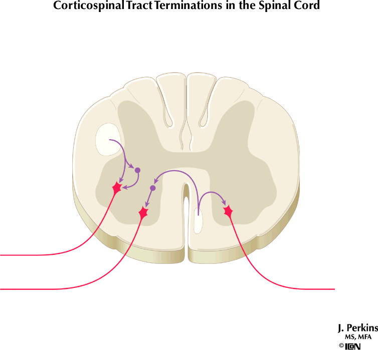 %_tempFileNameFigureIII.32%