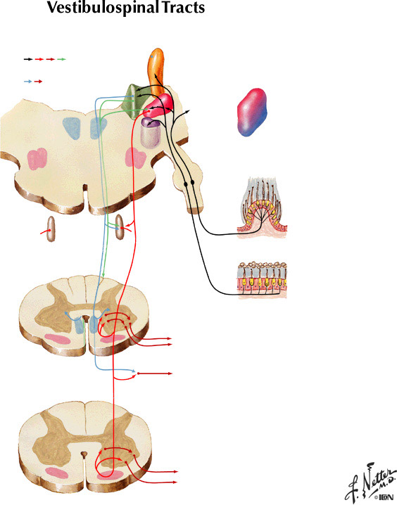 %_tempFileNameFigureIII.34%