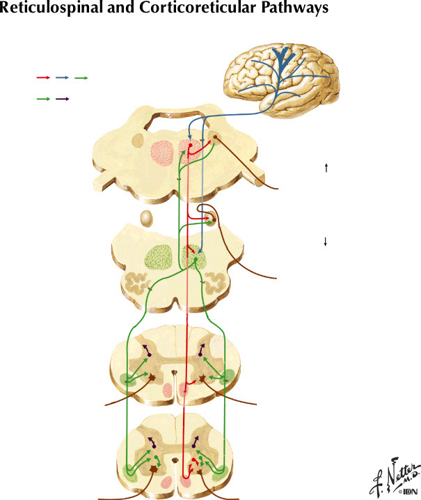 %_tempFileNameFigureIII.35%
