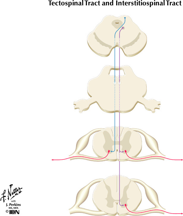 %_tempFileNameFigureIII.36%