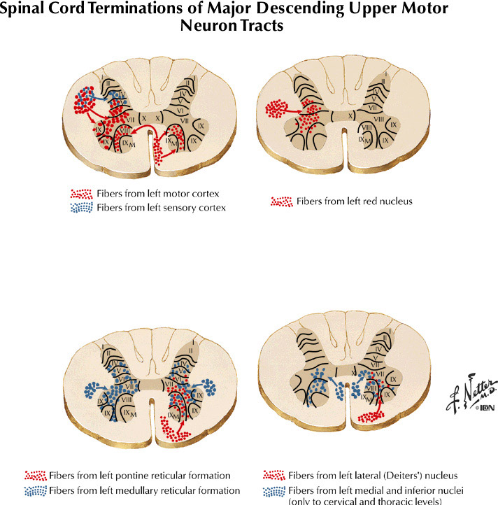 %_tempFileNameFigureIII.37%