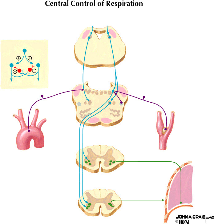 %_tempFileNameFigureIII.39%