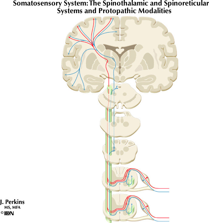 %_tempFileNameFigureIII.4%