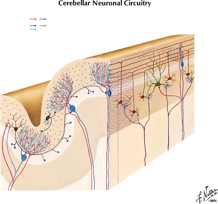 %_tempFileNameFigureIII.41%