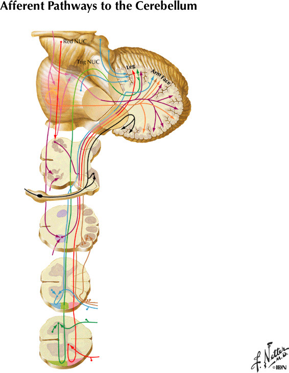 %_tempFileNameFigureIII.43%