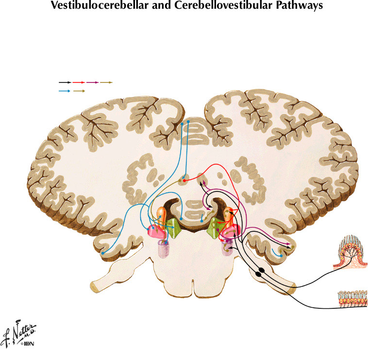 %_tempFileNameFigureIII.45%