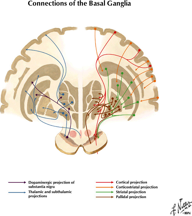 %_tempFileNameFigureIII.47%