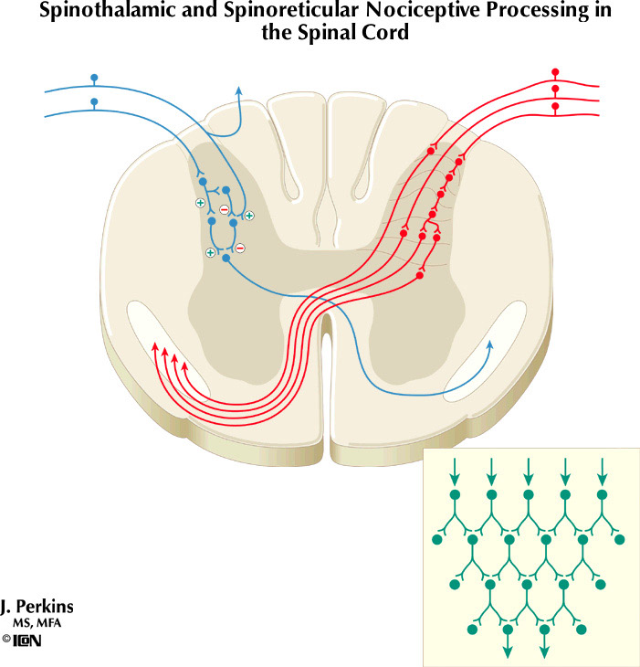 %_tempFileNameFigureIII.5%