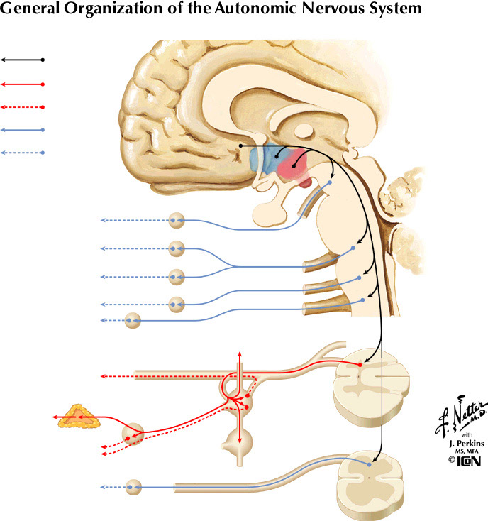 %_tempFileNameFigureIII.51%