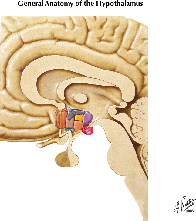 %_tempFileNameFigureIII.52%