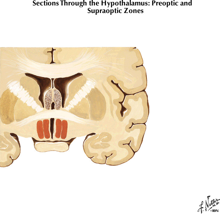 %_tempFileNameFigureIII.53A%