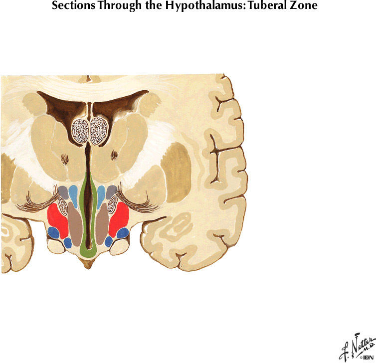 %_tempFileNameFigureIII.54A%