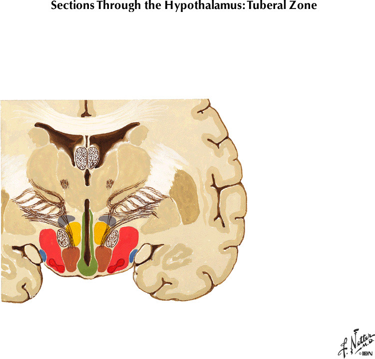 %_tempFileNameFigureIII.54B%