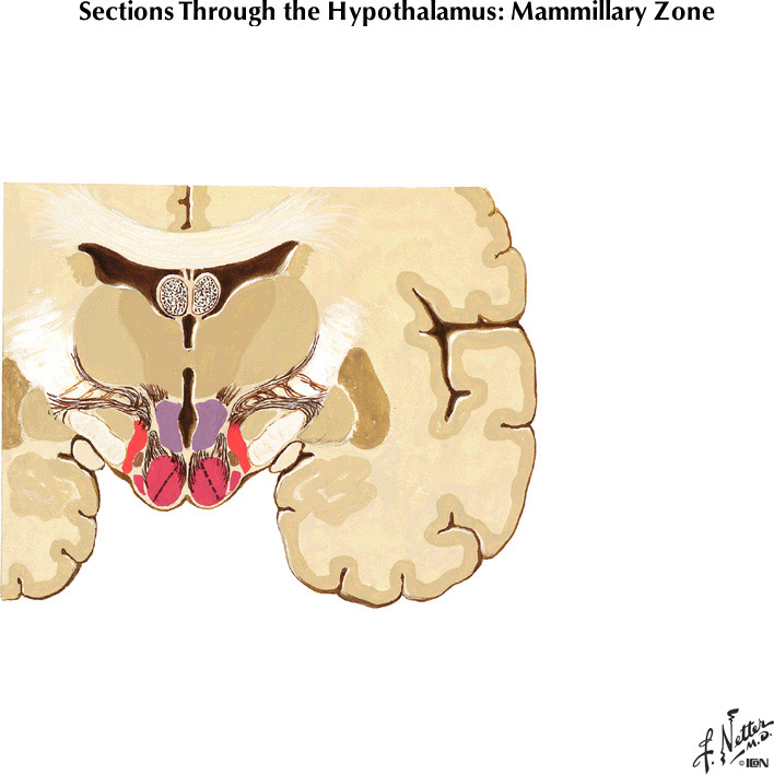 %_tempFileNameFigureIII.55A%