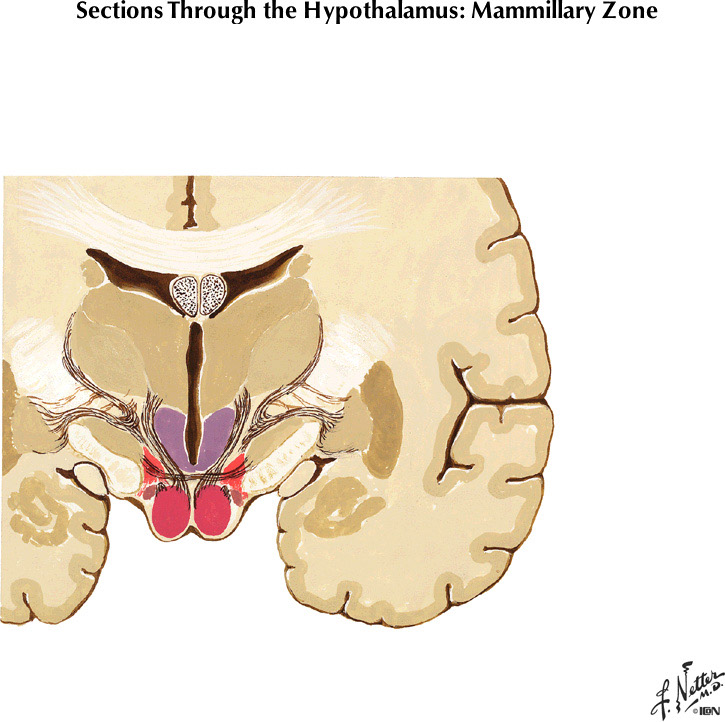 %_tempFileNameFigureIII.55B%