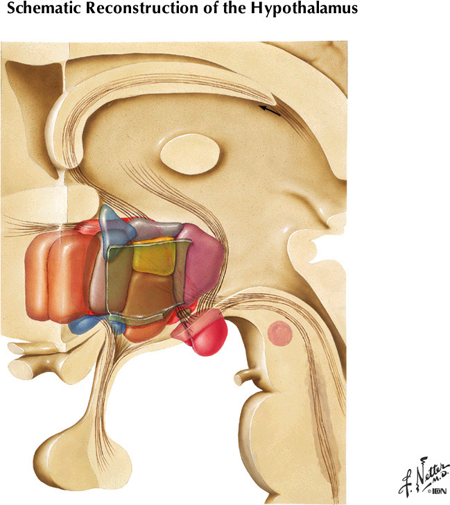 %_tempFileNameFigureIII.56%