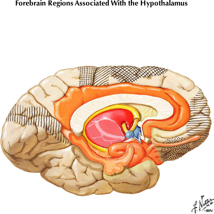 %_tempFileNameFigureIII.57%