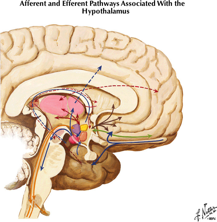 %_tempFileNameFigureIII.58%