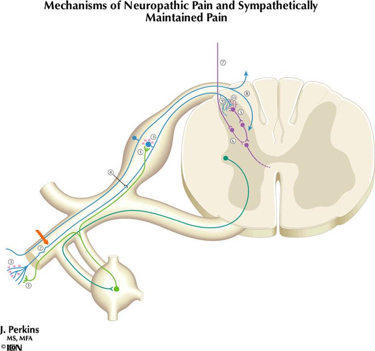 %_tempFileNameFigureIII.6%