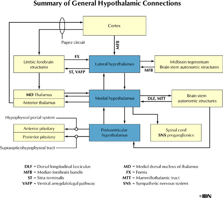 %_tempFileNameFigureIII.61%